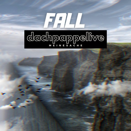 dachpappelive - Fall