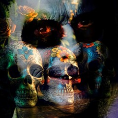 Sugar Skulls
