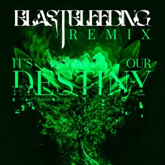 IMANU - It's Our Destiny (blastbleeding Remix)