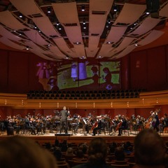 Shadows: A Symphonic Miniature