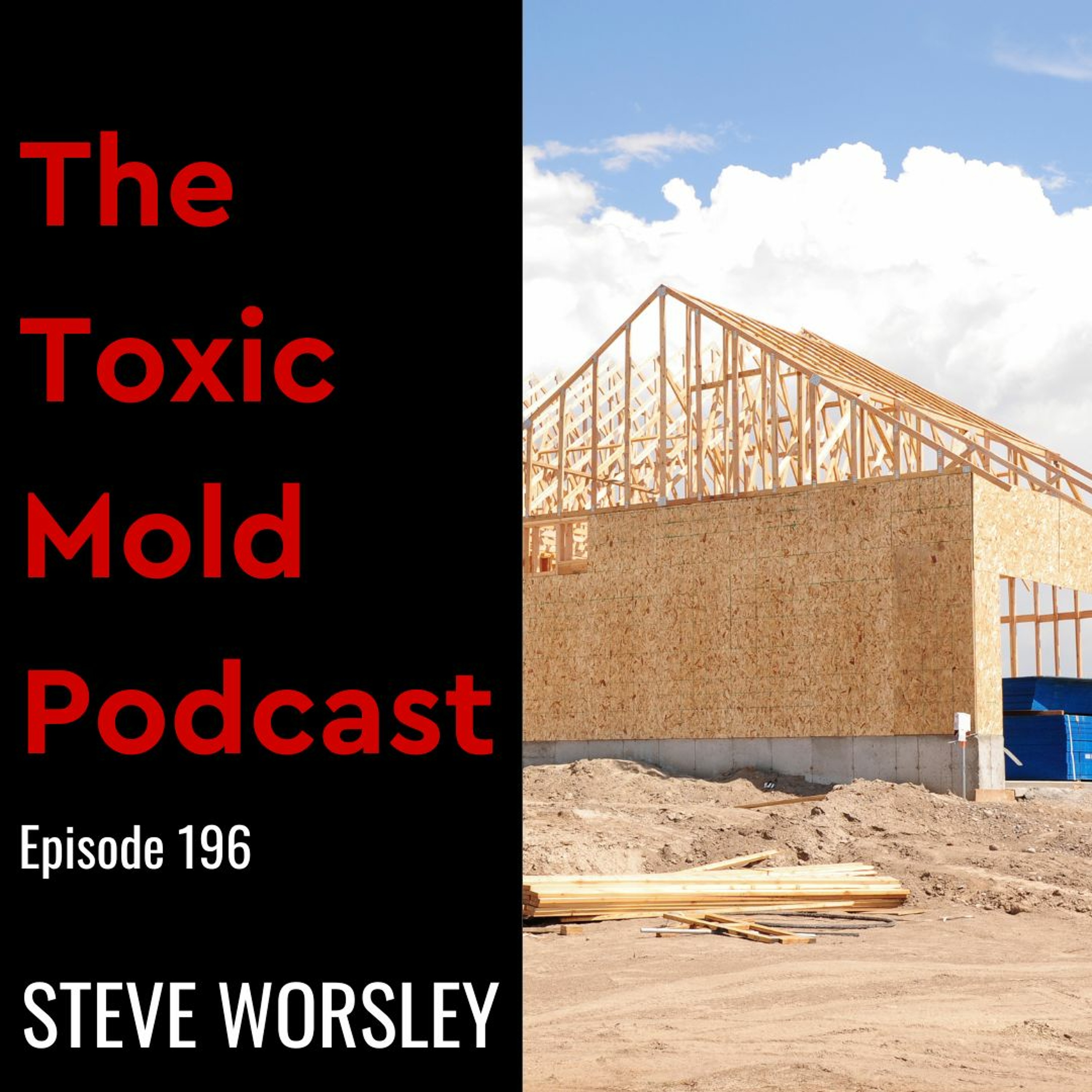 EP 196: Can Improper Grading and Drainage Lead to Black Mold?