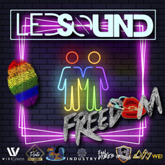 LEDSOUND @ FREEDOM PRIDE SESSSION