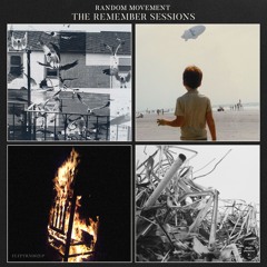 FLTPTRN002LP - Random Movement - The Remember Sessions LP