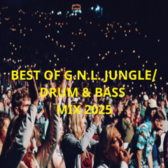 Best Of G.N.L. Jungle/Drum & Bass Mix 2025