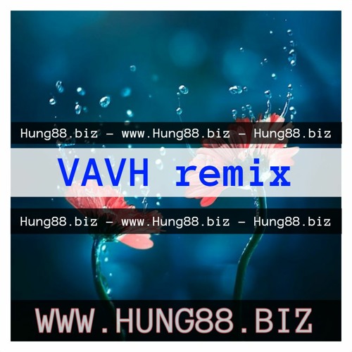 She Got It - VAVH Remix