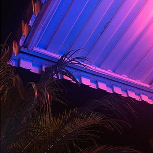 Oblivion - Rufi-o, Lily Potter