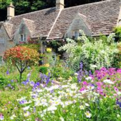 unknown thirtydays1.1 [prod.xtatus]