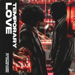 temporary love (ft. Robbie Rosen)