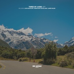 James Halon - Probability Wave [3rd Avenue]