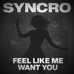 Feel Like Me Want You (Speed Garage Extended Mix)