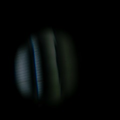 For Four Voices (2020)