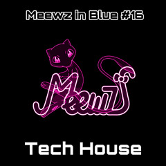 Meewz in Blue #16 (Tech House)