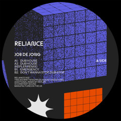 PREMIERE: Job de Jong - Dub House (Kepler Remix)