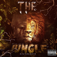 Ksuyoungin- drop ya nutz