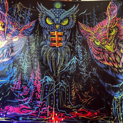 NoR   Home Rec bei  Rave Daves After Session