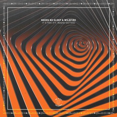 Needs No Sleep & Wildfire - It’s You (ft. Nadia Gattas)[Be Rich Records]