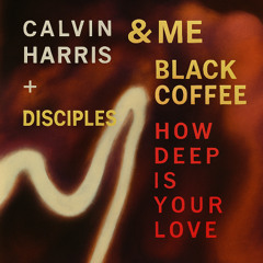 Rapture pt III x How deep is your Love