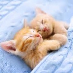 NAPPING AND SLEEPING ETC. REMIX