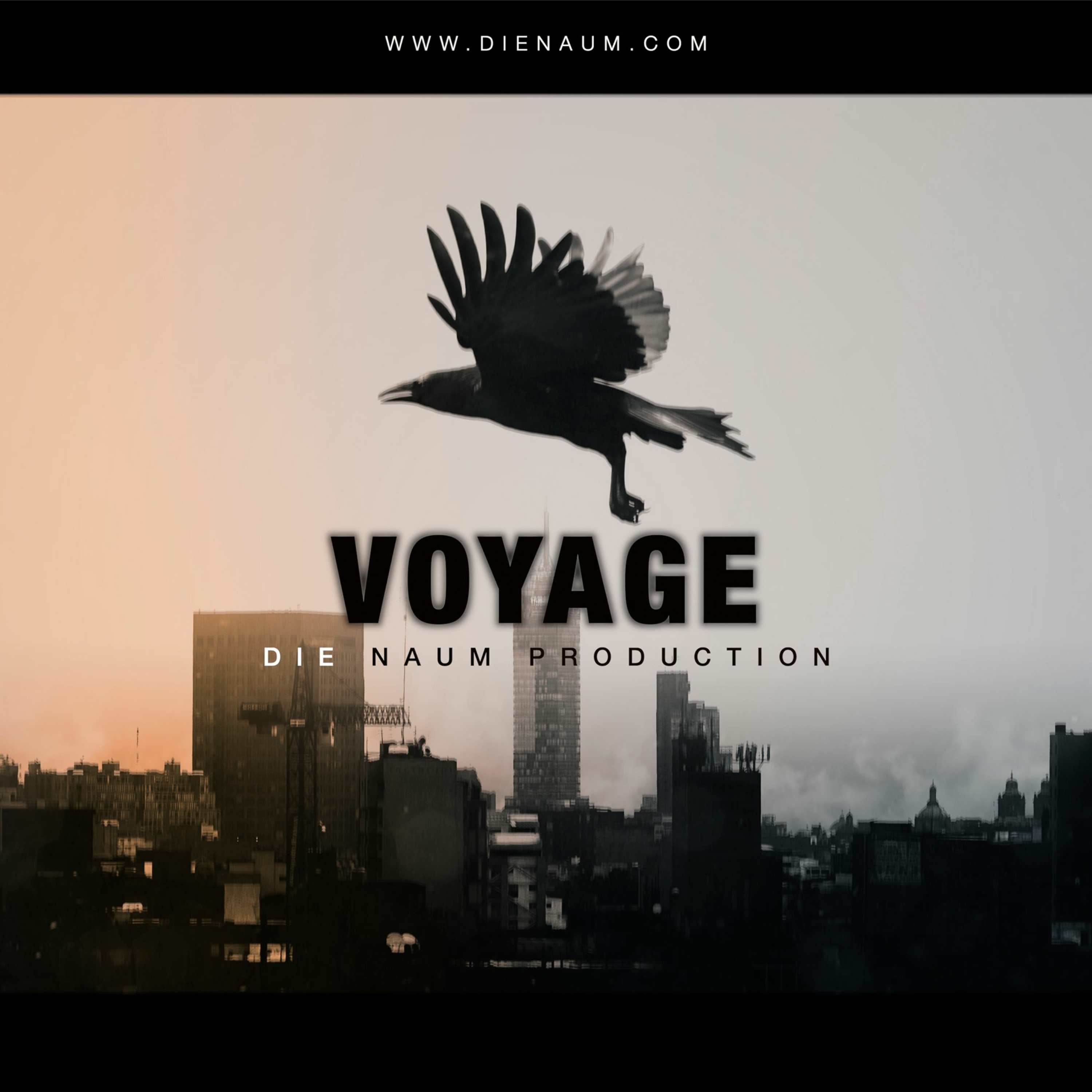 VOYAGE episode artwork