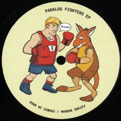 Riccardo aka Future Buddha / Cosmic JD - Padalog Fighters EP [BNSD008]