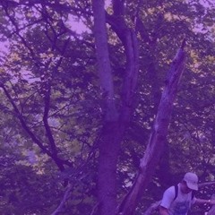 Ginseng Strip 2002 Remix (prod.Vanity!)