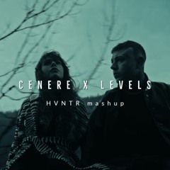 Cenere X Levels Mashup