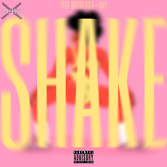 Shake Prod. @Prod.Villa + @AV