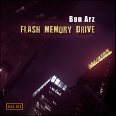 Flash memory Drive