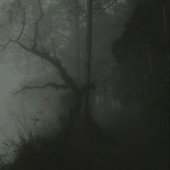 Sophie Woodhouse - Forest Nymph ///  SLOWED