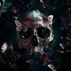 ☆солянка☆