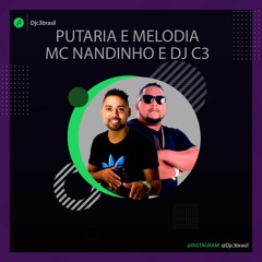 Mc Nandinho E Dj C3 - Putaria E Melodia