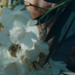 l'amour le fleur (Prod. Qazers)