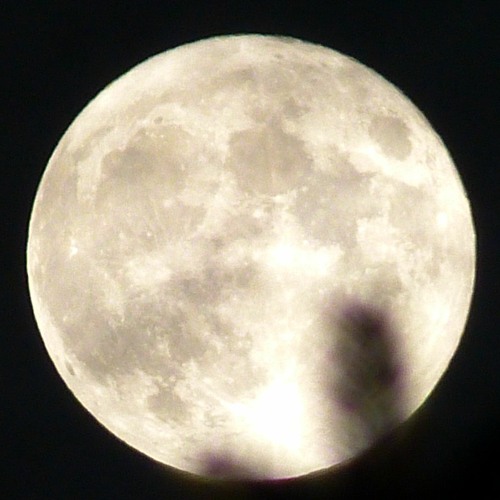 Stream episode Die Kraft des Kreises by Wildnisschule KojoteAkademie