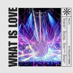 Haddaway - What is Love(DJ Twilight Remix)