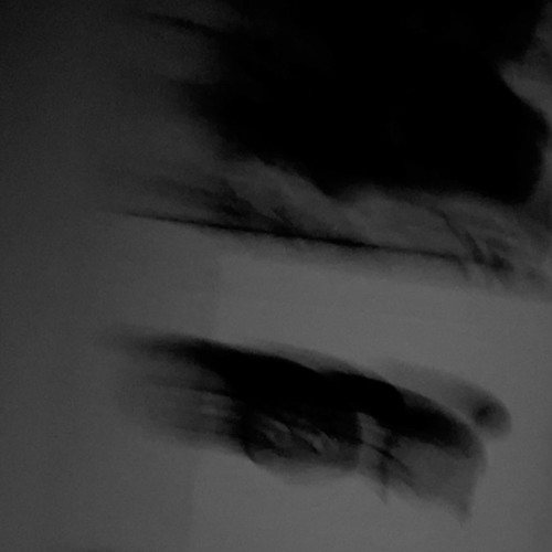 shady MOON - my forever