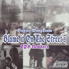 Blame It On The Sreets feat. Spb Newborn IG: @1whoisbluejay