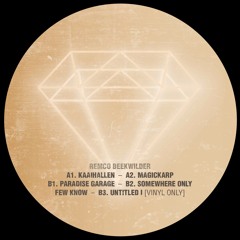 Remco Beekwilder - Magickarp
