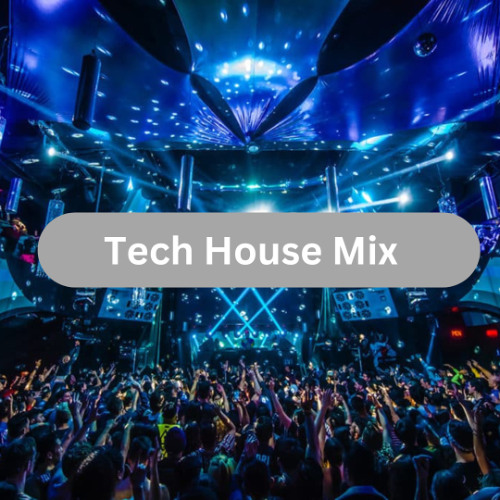 Tech House Club Mix ( January 2025 )