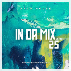 IN DA MIX 25 | Afro Melodic | feat. Monkeysafari, Badbwoy & Palane, VKD, Axel Beca & more