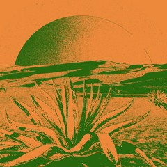 SNFSS010 // Lis Sarroca - No Wait EP