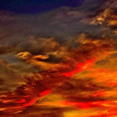 Trail of Ashes