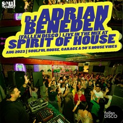 ADRIAN BENEDEK (Fallen Disco) at SPIRIT OF HOUSE AFTERNOON DANCE - AUG 2023 | SOULFUL HOUSE CLASSICS