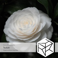 Sou Enomoto - Tsubaki (Original Mix)