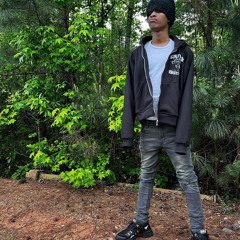 333luhkell - insane (prod. 333luhkell) (chris finesse exclusives)