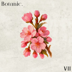 Botanic Sprout - 3.7 - Natsu