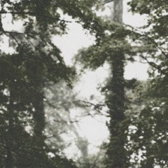 Kasar - Strange Feeling