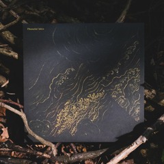 A1 Doorways To Elphame / Talking Forest / Labyrinth
