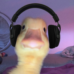Weekly Mix #01