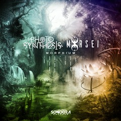 Photosynthesis & Morsei - Morphium l OUT NOW!