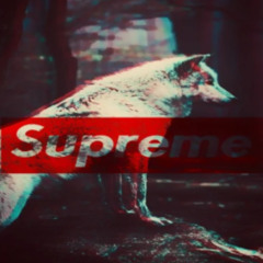 uglygit40 - freddie gibbs [SUPREME BANDA EXCLUSIVE]